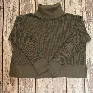 Vetta Green sweater/turtle neck